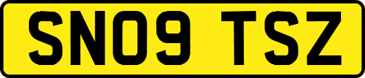 SN09TSZ