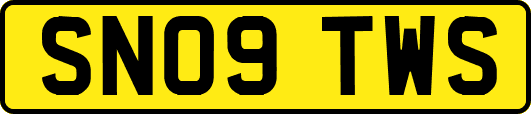 SN09TWS