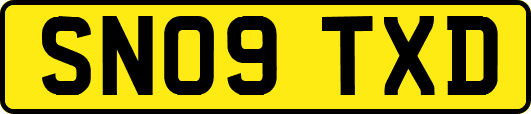 SN09TXD