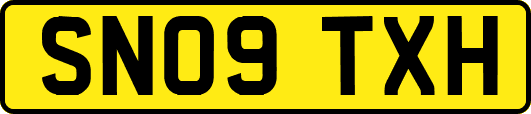 SN09TXH