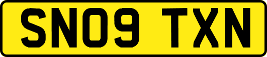 SN09TXN
