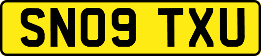 SN09TXU