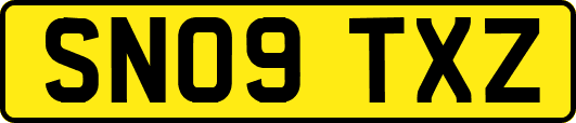 SN09TXZ
