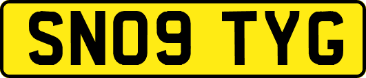 SN09TYG