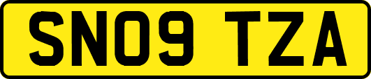 SN09TZA