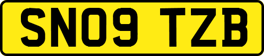 SN09TZB