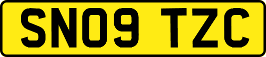 SN09TZC