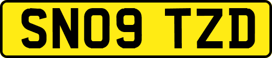SN09TZD