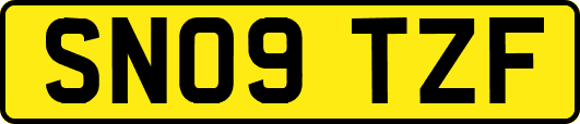 SN09TZF