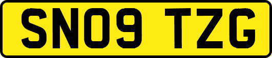 SN09TZG