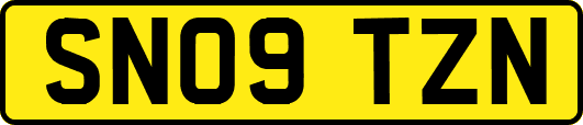 SN09TZN