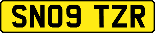 SN09TZR