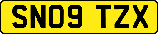 SN09TZX