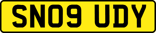 SN09UDY