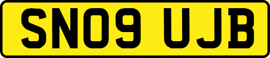 SN09UJB