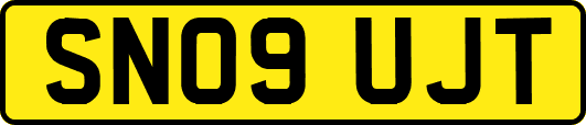 SN09UJT