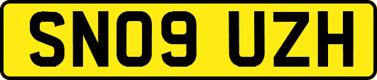SN09UZH