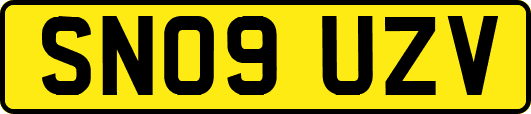 SN09UZV