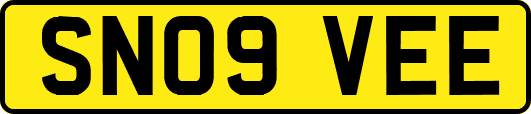 SN09VEE