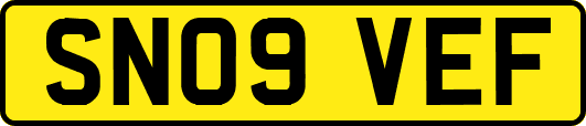 SN09VEF