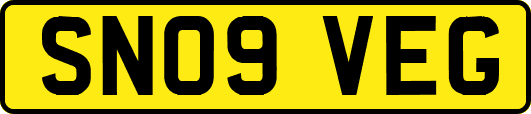 SN09VEG