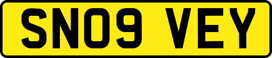 SN09VEY