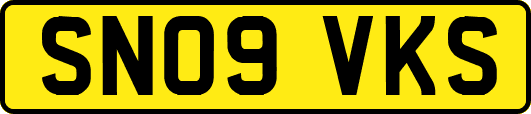 SN09VKS