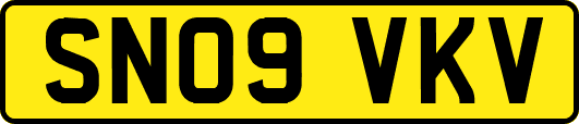 SN09VKV