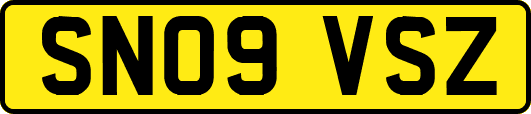 SN09VSZ