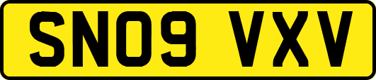 SN09VXV