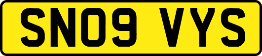 SN09VYS