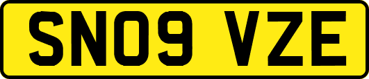 SN09VZE