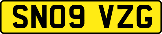 SN09VZG