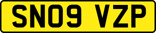 SN09VZP