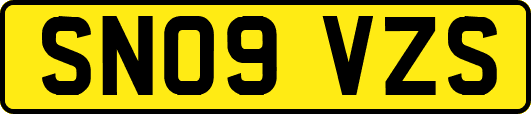 SN09VZS
