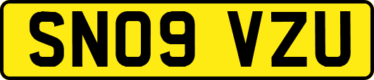 SN09VZU