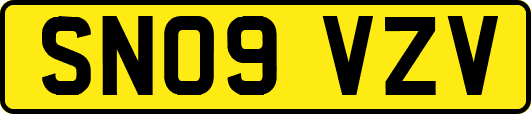SN09VZV