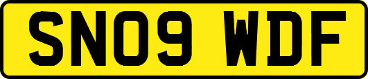 SN09WDF