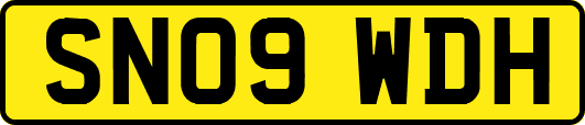 SN09WDH