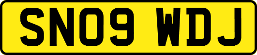 SN09WDJ