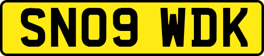 SN09WDK