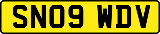 SN09WDV