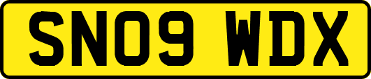 SN09WDX
