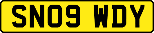 SN09WDY
