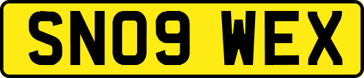 SN09WEX