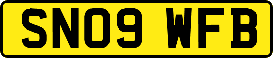 SN09WFB