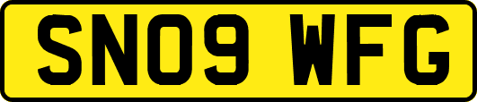 SN09WFG