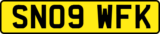 SN09WFK