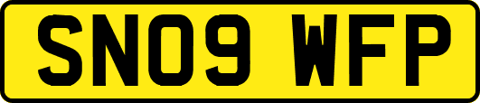 SN09WFP