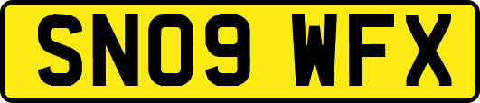 SN09WFX